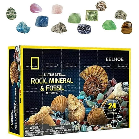 Geological Enlightenment Advent Calendar 24 Days Rare Shell Conch Gift Geological Enlightenment Advent Calendar 24 Days Rare Shell Conch Gift