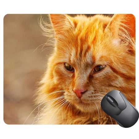 POPCreation portrait of a red cat from the front on the nature Mouse pads Gaming Mouse Pad 9.84x7.87 inches