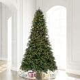 thumbnail image 2 of Vickerman K224195 14 ft. x 106 in. Douglas Fir 10169T Christmas Tree, 2 of 11