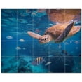 thumbnail image 1 of Turtle Ceramic Tile Mural Kitchen Backsplash Bathroom Shower, 402958-S54, 1 of 3