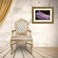 thumbnail image 3 of Jaynes Gallery 24x17 Gold Ornate Wood Framed with Double Matting Museum Art Print Titled - Canada-Manitoba-Sandilands Provincial Forest Prairie crocus flowers with dew lose-up, 3 of 4