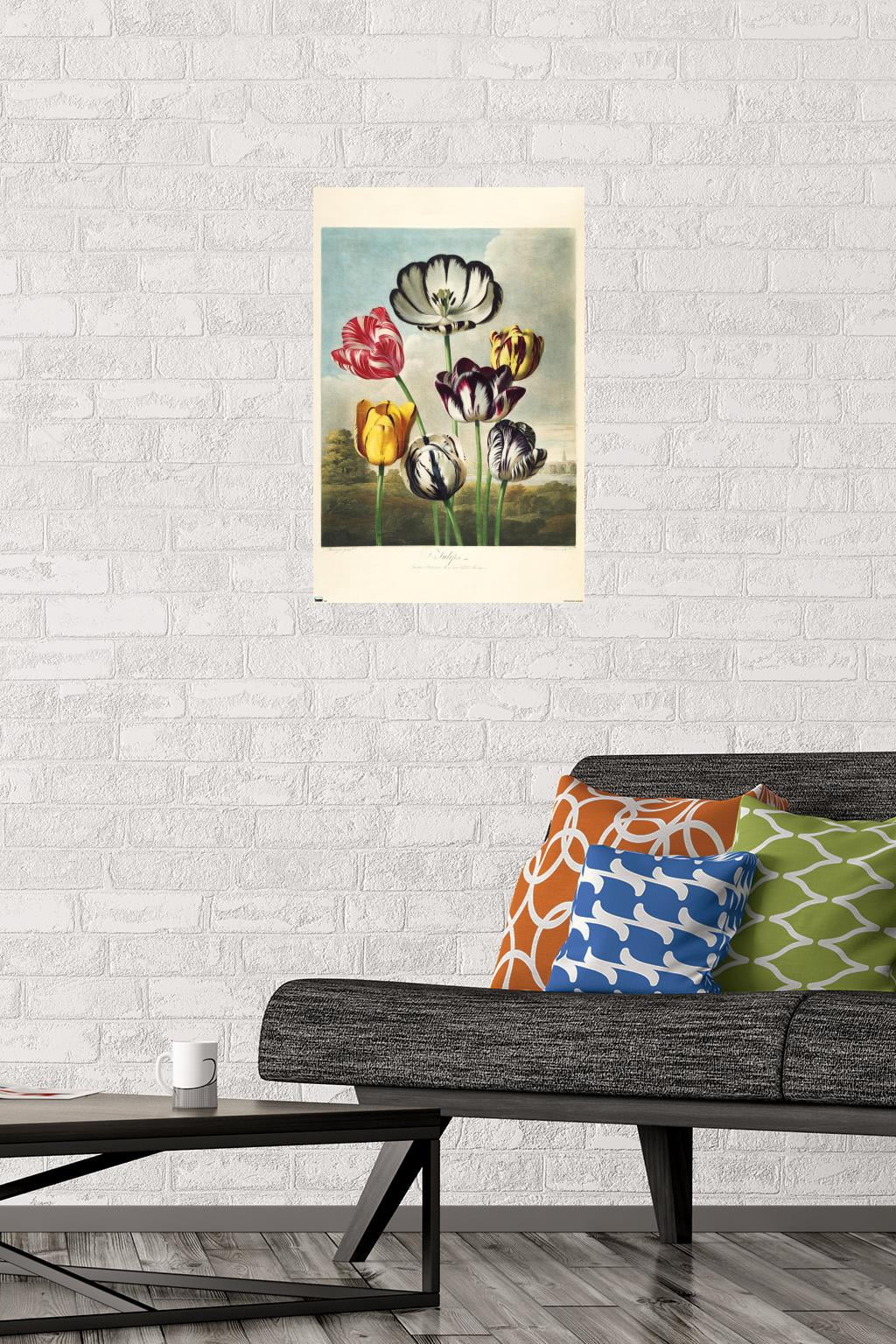 Tulips from the The Temple of Flora Wall Poster, 14.725" x 22.375"