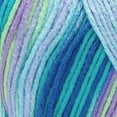 thumbnail image 3 of Red Heart® Super Saver™ #4 Worsted Acrylic Yarn, Wildflower 5oz/142g 236yd, 3 of 5