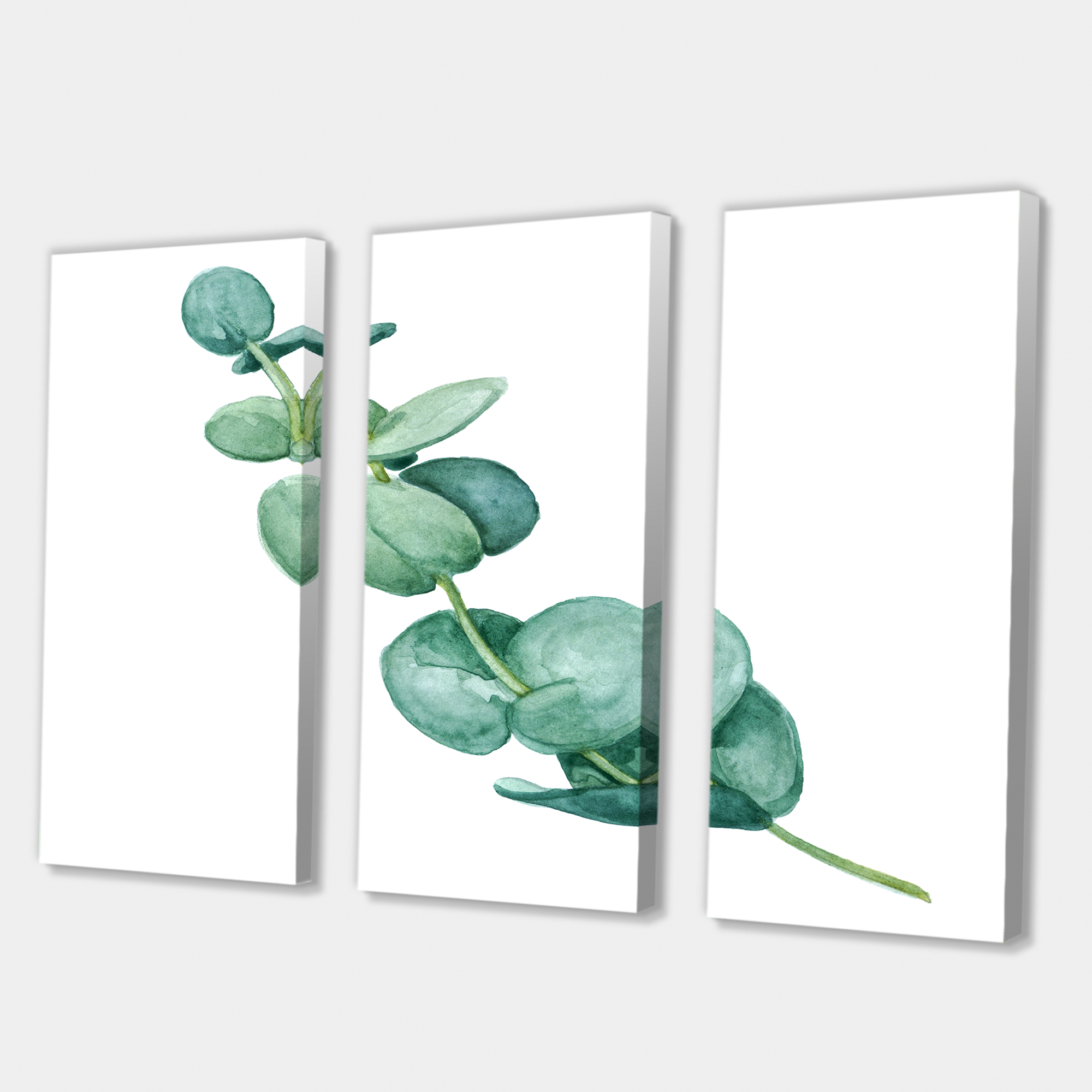 Designart ' Young Eucalyptus Branches and Leaves II ' Traditional Canvas Wall Art Print