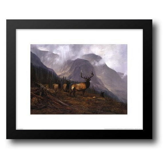 Bookcliffs Elk 24x20 Framed Art Print by Coleman, Michael