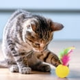 thumbnail image 5 of CHIKANSTORE 25PCS Cat Ball Toy, 1.5" Colorful Cat Toys with Feathers Interactive Cat Balls Cat Golf Toy Sports Ball for Indoor Cats, 5 of 6