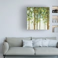 thumbnail image 2 of Trademark Fine Art 'Forest Study II' Canvas Art by Lisa Audit, 2 of 4