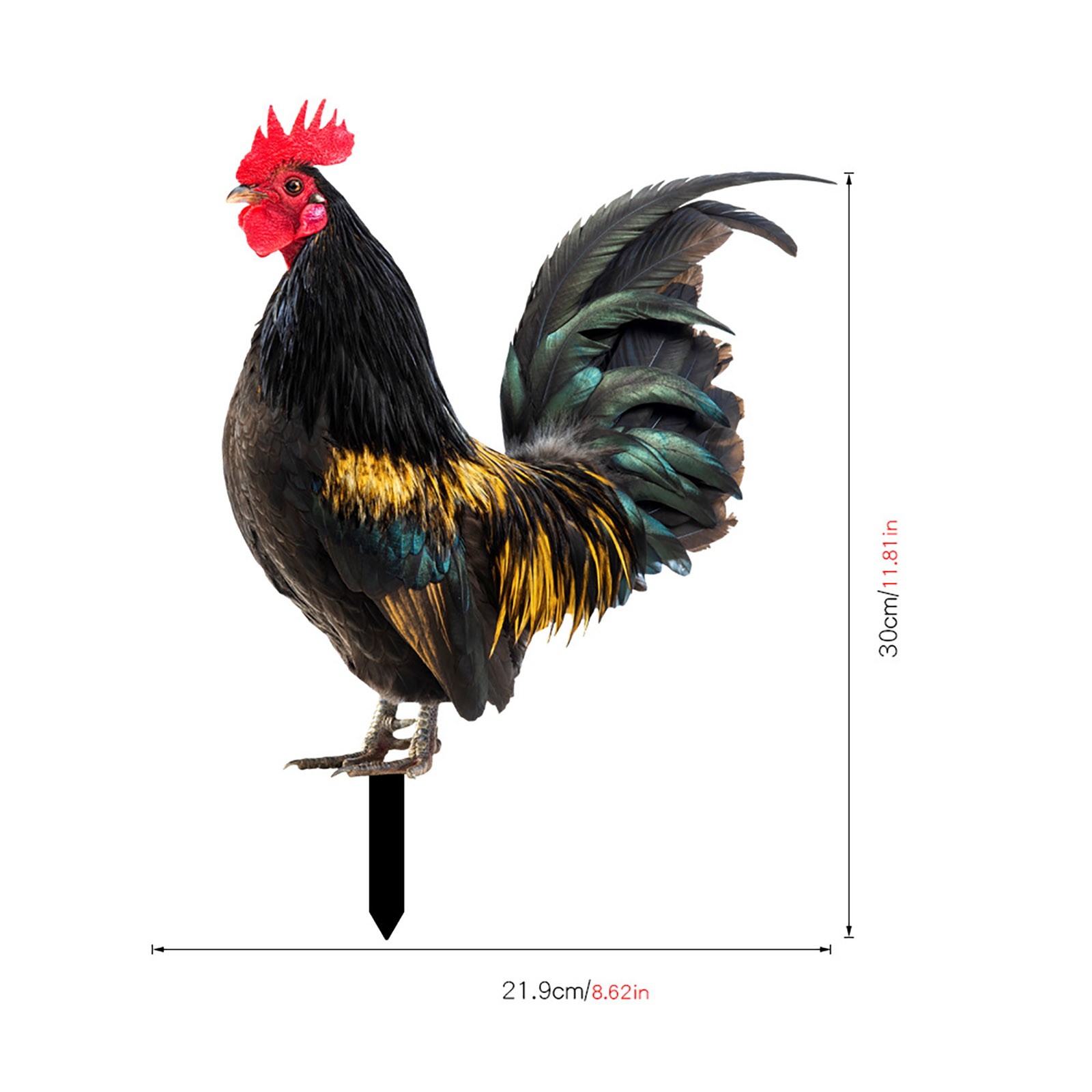 Sunggoko Interposition Poultry Decoration Yard Insert Rooster Acrylic ...