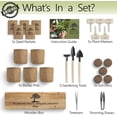 thumbnail image 6 of Bonsai Tree Kit – 5X Unique Japanese Bonzai Trees | Complete Indoor Bonsai Starter Kit for Growing Bonsai Plants with Tools & Planters – Gardening Gifts for Women & Men, 6 of 6