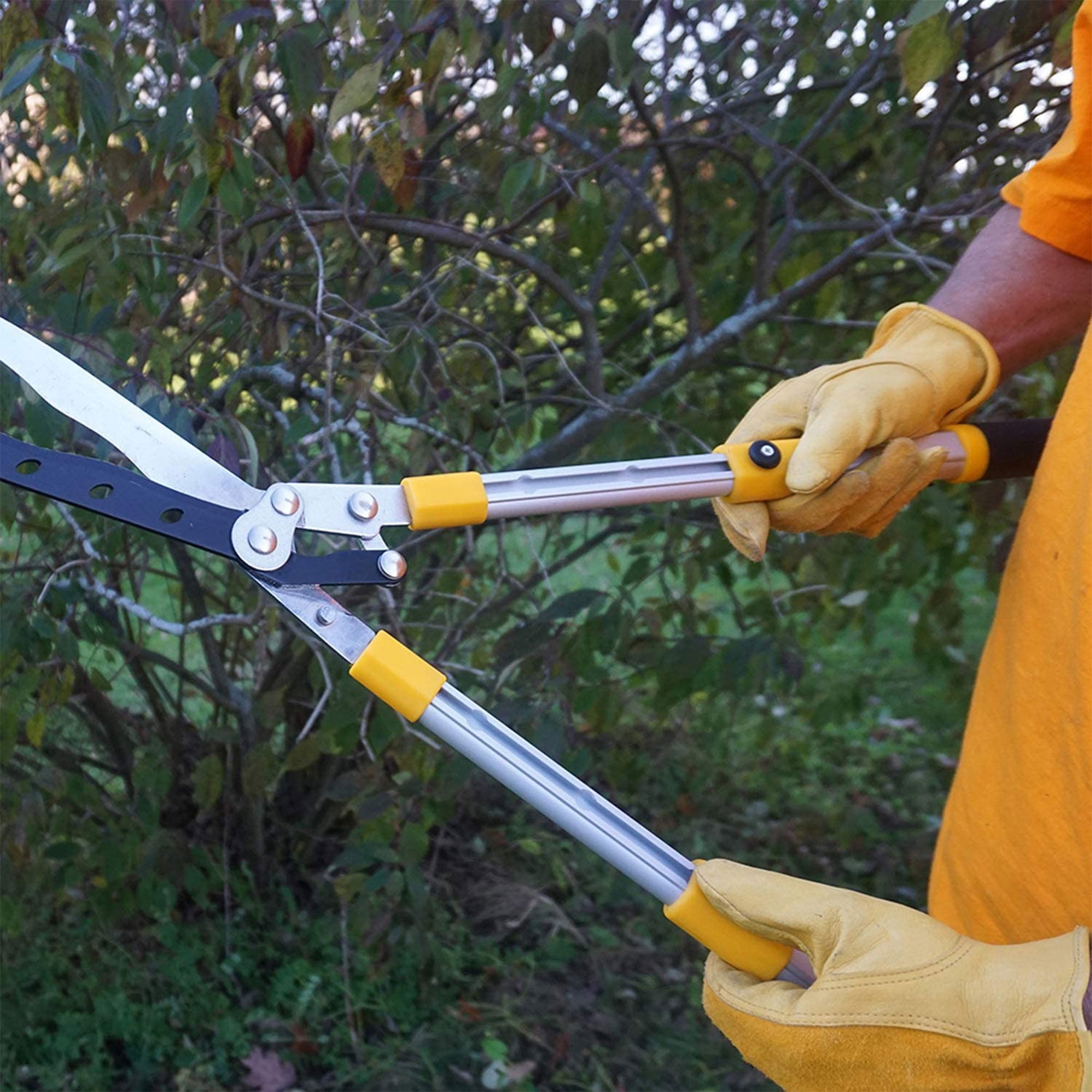 Centurion 75 Upgraded Telescoping Hedge Trimmer Shears with 9 Inch Blades