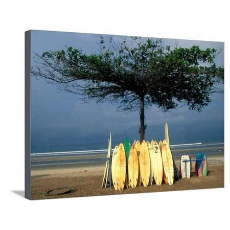 Surfboards Lean Against Lone Tree on Beach in Kuta, Bali, Indonesia Stretched Canvas Print Wall Art By Paul