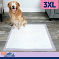 thumbnail image 6 of Hartz Home Protection Lavender Scent Odor-Eliminating Dog Pads, 3XL, 14 Count, 6 of 9