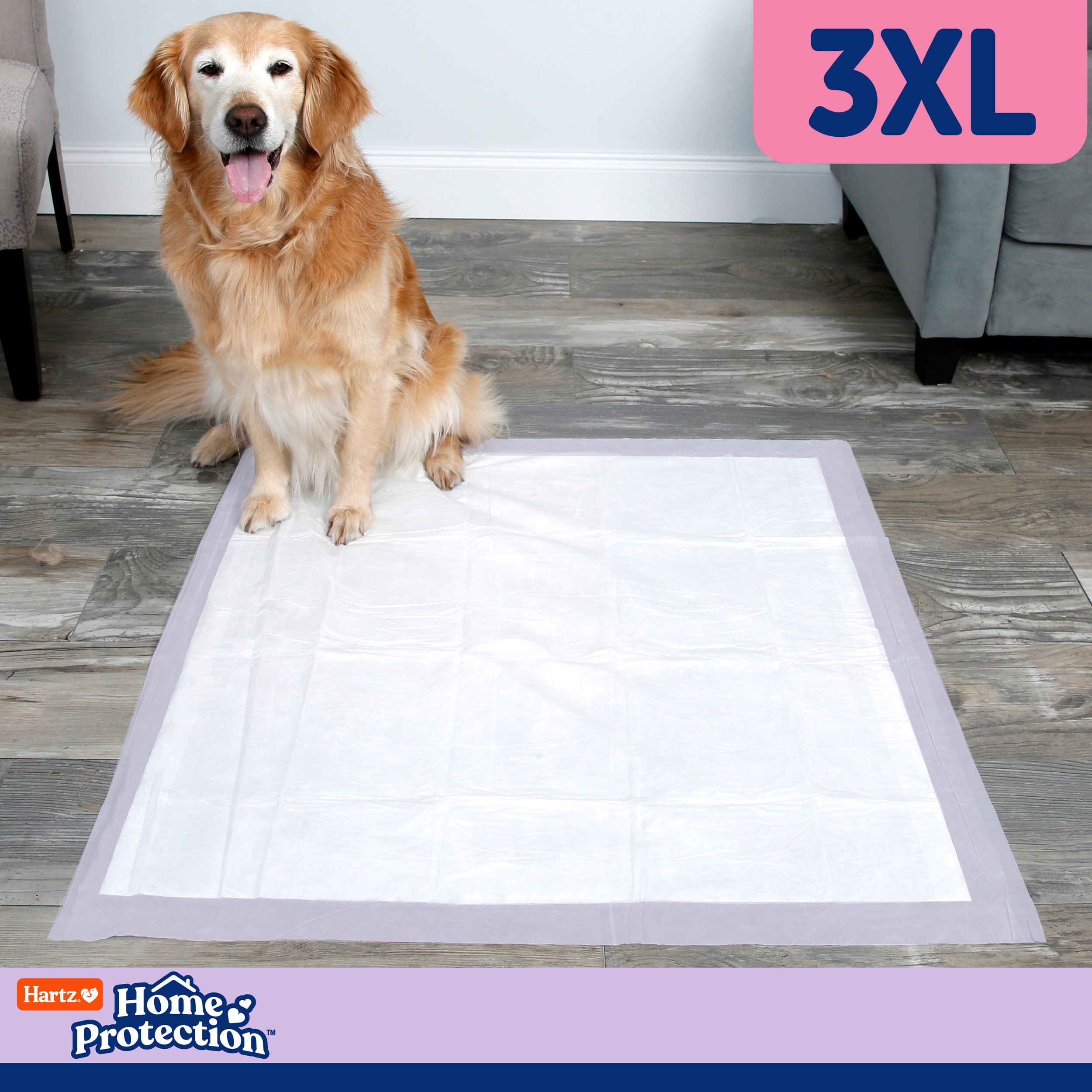 Hartz Home Protection 3XL Dog Pads, Lavender Scented, 30 Count photo 6