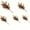 A2 5pcs, variant on A set of 5 realistic artificial winter berries and pine branches for seasonal home decoration during Christmas