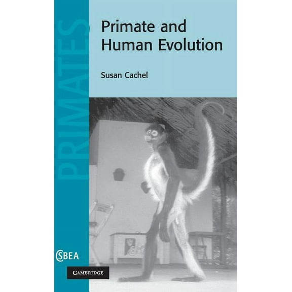 Cambridge Studies in Biological and Evol Primate and Human Evolution, (Hardcover)
