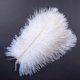 thumbnail image 1 of Lote de 10 plumas de avestruz naturales para manualidades, plumas blancas para jarrones, decoración de bodas, fiestas, accesorios de artesanía, plumas DIY., 1 of 4