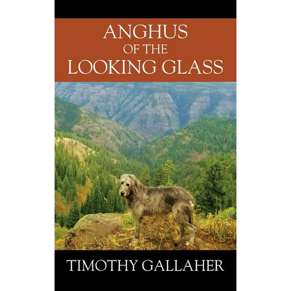 Anghus of the Looking Glass, (Paperback)