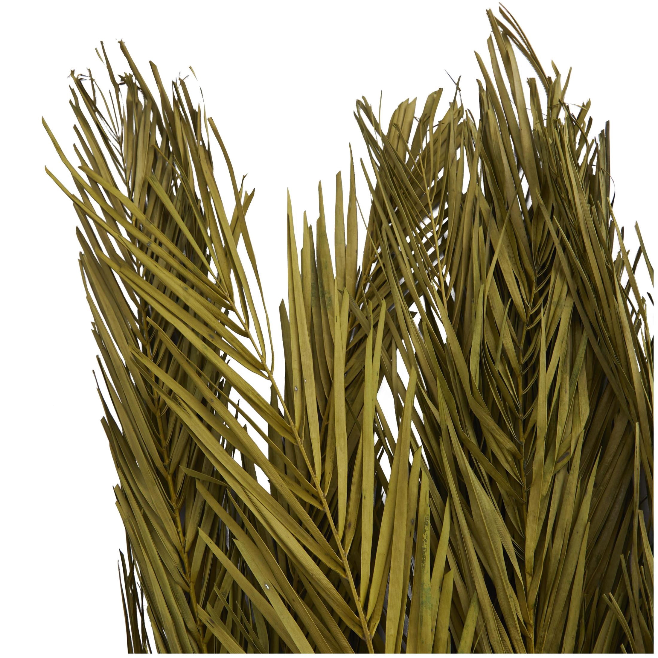 43" Tall Dried Plant Natural Foliage Palm Leaf Bouquet with Grass and Feather Inspired Stems, by DecMode