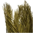 thumbnail image 4 of 43" Tall Dried Plant Natural Foliage Palm Leaf Bouquet with Grass and Feather Inspired Stems, by DecMode, 4 of 7