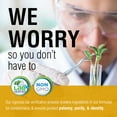 thumbnail image 3 of Solaray Calcium Citrate Supreme 800mg Advanced Bone Support Blend | Gentle Digestion Formula | 30 Servings | 180 VegCaps, 3 of 6