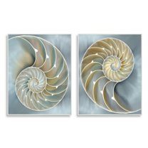 Stupell Industries Intricate Nautilus Interior Natural Geometric Design Wall Plaque Design by Caroline Kelly, 2 Piece, 10" x 15"
