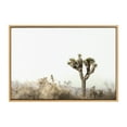 thumbnail image 2 of Kate and Laurel Sylvie Joshua Tree Landscape Framed Canvas Wall Art by Saint and Sailor Studios, 23x33 Natural, Modern Desert Tree Landscape Art for Wall, 2 of 6