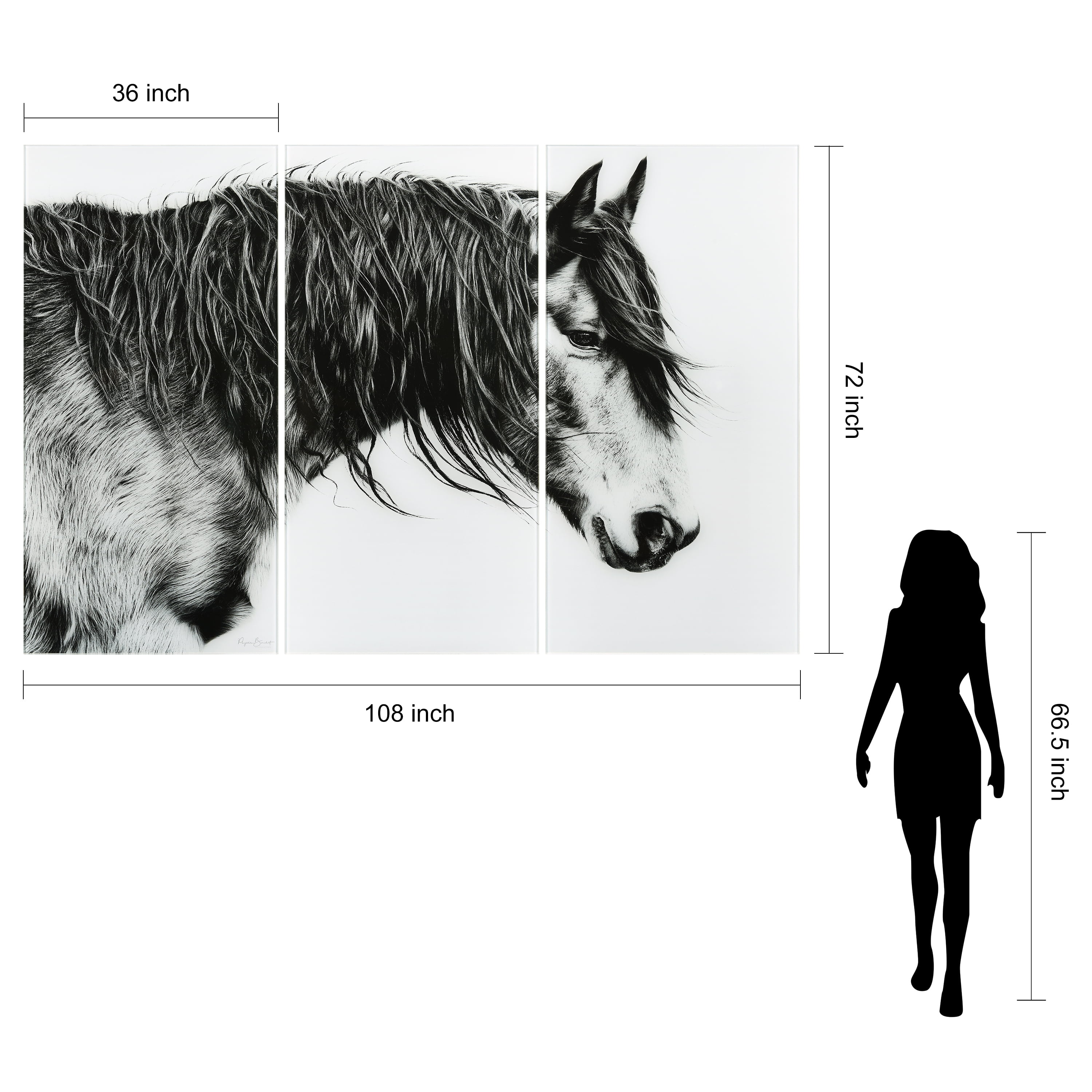 Black and White Horse Portrait III ABC 36 in x 72 in Mixed Media Art, by Empire Art 3 Count