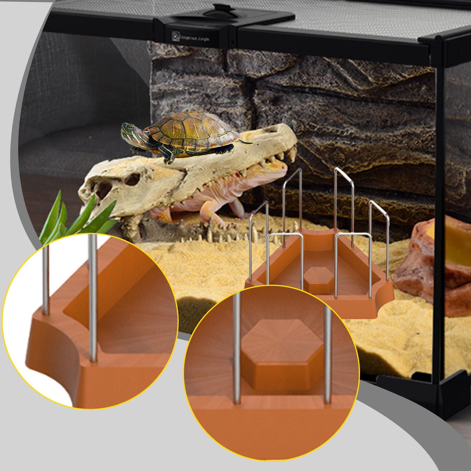 EHJRE Tortoise Feeding Dish Turtle Food Bowl Terraium Bowl Small Food Tray Water Dish Plate for Semi Aquatic Bearded Dragon Lizards Brown