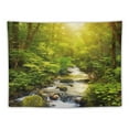 thumbnail image 5 of ERAPDAUR  Forest Tapestry Home Decor Landscape Tapestry Living Room Bedroom Decoration Tapestry Magic Tapestry Curtain (Forest Creek) 50x40inch, 5 of 6