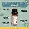 thumbnail image 2 of Aceite Esencial de Menta Energizante Descongestionante Natural para Difusor 10 ml Aromas & Lavanda, 2 of 4