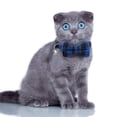 thumbnail image 4 of Laklulu - Paquete de 2 collares para gatos con pajarita y cascabel, collar para gatitos personalizado, 4 of 5