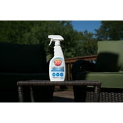Aerospace Protectant Automotive Cleaners, 16 oz