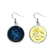 thumbnail image 1 of La constelación de acuario, signo del Zodiaco Pendiente Sol Flor Pendiente Joyas Moda Unbranded M, 1 of 3