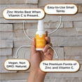 thumbnail image 4 of nbpure Zinc Up+ with Vitamin C Spray, Fruit Punch, 2 oz, 4 of 7