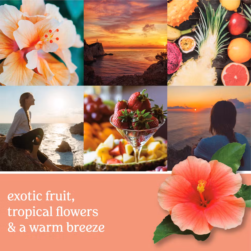 thumbnail image 2 of Yankee Candle Last Paradise Collection - Cliffside Sunrise - Medium Original Jar Candle, 2 of 4