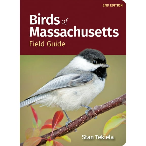 Bird Identification Guides Birds of Massachusetts Field Guide, (Paperback)