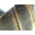 thumbnail image 2 of Thomas Collection Light And Dark Brown Mink Faux Fur Throw Pillow - 17424, 2 of 4