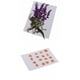 thumbnail image 1 of 26 Piezas De Flores Secas Prensadas Para Joyería De Resina DIY Craft Gift Art Cards, 1 of 9