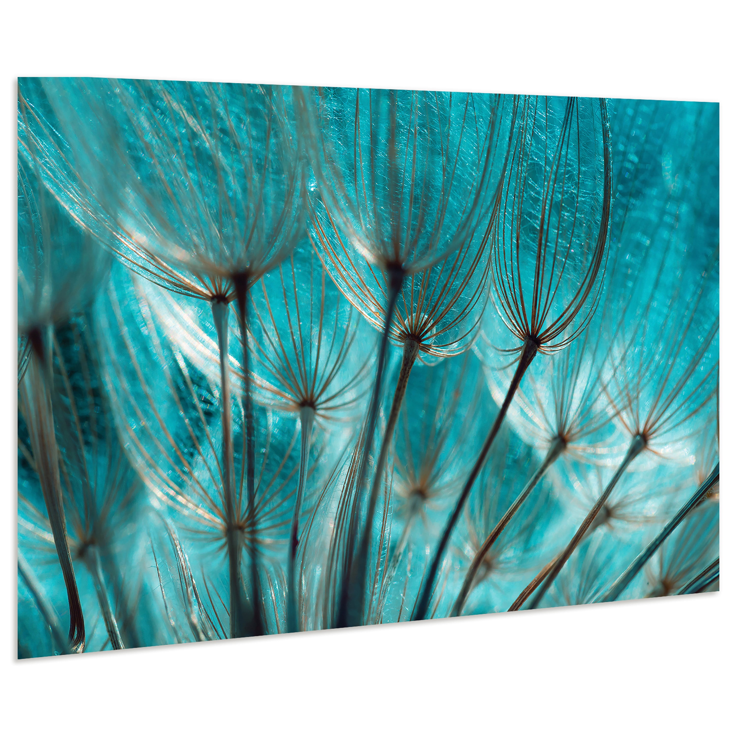 Empire Art Direct TMP-EAD1756-3248 32 x 48 in. Dandelion Frameless Tempered Glass Panel Contemporary Wall Art