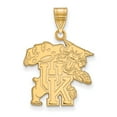 thumbnail image 1 of Solid 10k Yellow Gold Official University of Kentucky Large Pendant Charm - 26mm x 19mm, 1 of 3