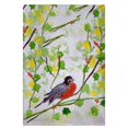 thumbnail image 1 of Betsy Drake GT164 Serviette d'Invité de Robin - 20 x 20 Po., 1 of 1