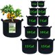 thumbnail image 1 of Paquete de 10 bolsas de cultivo de tamaño mixto, bolsas de cultivo de plantas, macetas de tela, macetas de tela Bgas, bolsas de cultivo de papas, 1 of 4