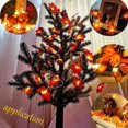 thumbnail image 2 of Guirnalda de otoño Decoraciones de otoño 3M 30 Luces de cadena con pilas Decoraciones navideñas de Halloween Decoraciones de acción de gracias Decoraciones de pared esquí esquí Gafas de esquí, 2 of 5