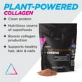 Livingood Daily Plant Collagen Powder (Chocolate) Collagen Protein