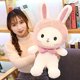 thumbnail image 2 of Almohada de peluche HUOGUO Pink Bunny con alas de 51 cm, 2 of 4