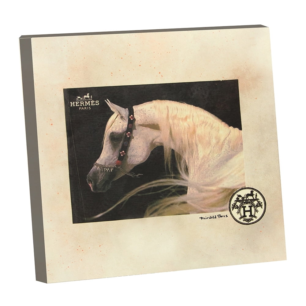 BEAUTIFUL FASHION WHITE HORSE - 14"x14" Canvas Artwork - Multi-Color 16 x 20