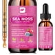 thumbnail image 2 of BEWORTHS 3000MG Gota líquida de musgo de mar Aceite de semilla negra orgánico y raíz de bardana para mejorar la inmunidad, el cabello, la piel y la digestión, 2 of 5