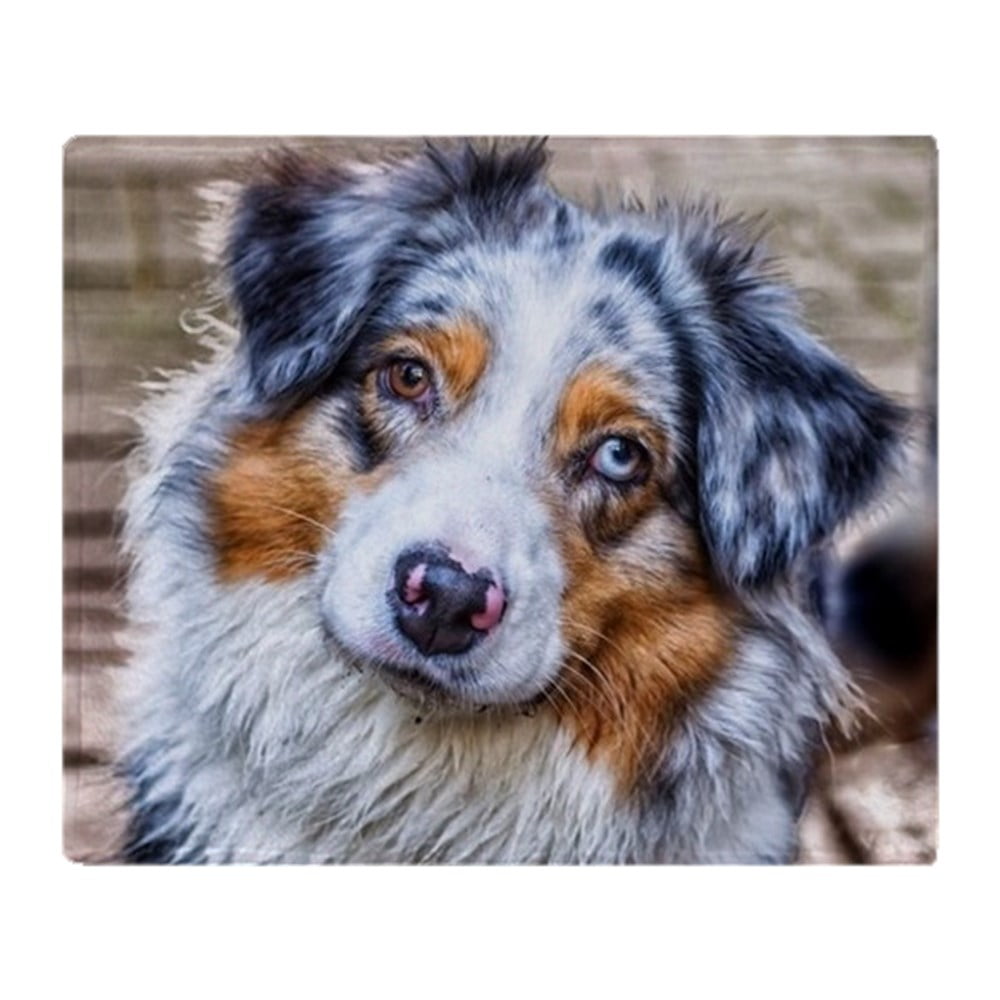 CafePress Australian Shepherd Soft Fleece Throw Blanket, 50"x60