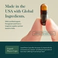 thumbnail image 4 of Gaia Herbs Lactate Support 120 Vegan Caps, 4 of 8