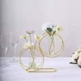 thumbnail image 4 of Efavormart 2 Pack 10" Gold Metal Geometric Test Tube Flower Vase, Nordic Style Double Ring Glass Floating Vase Centerpiece, 4 of 5